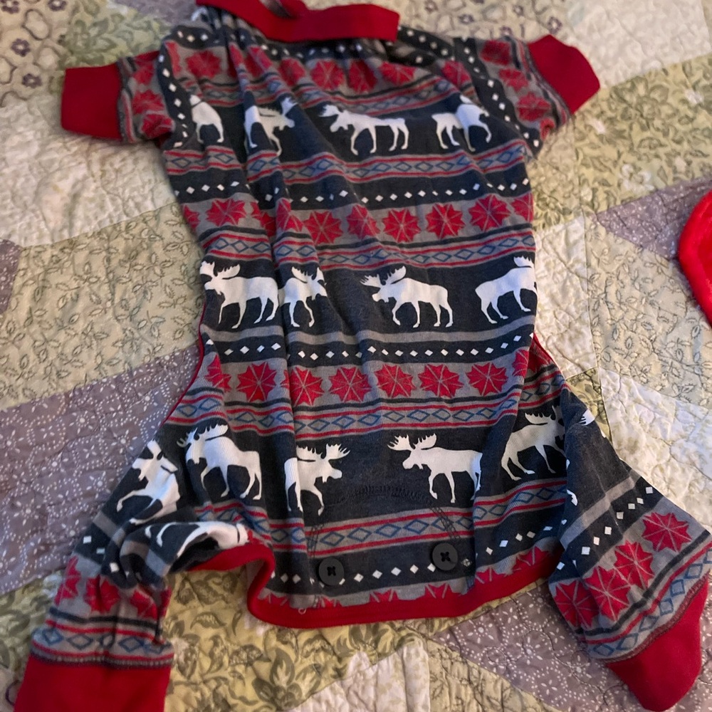 dog pajamas
